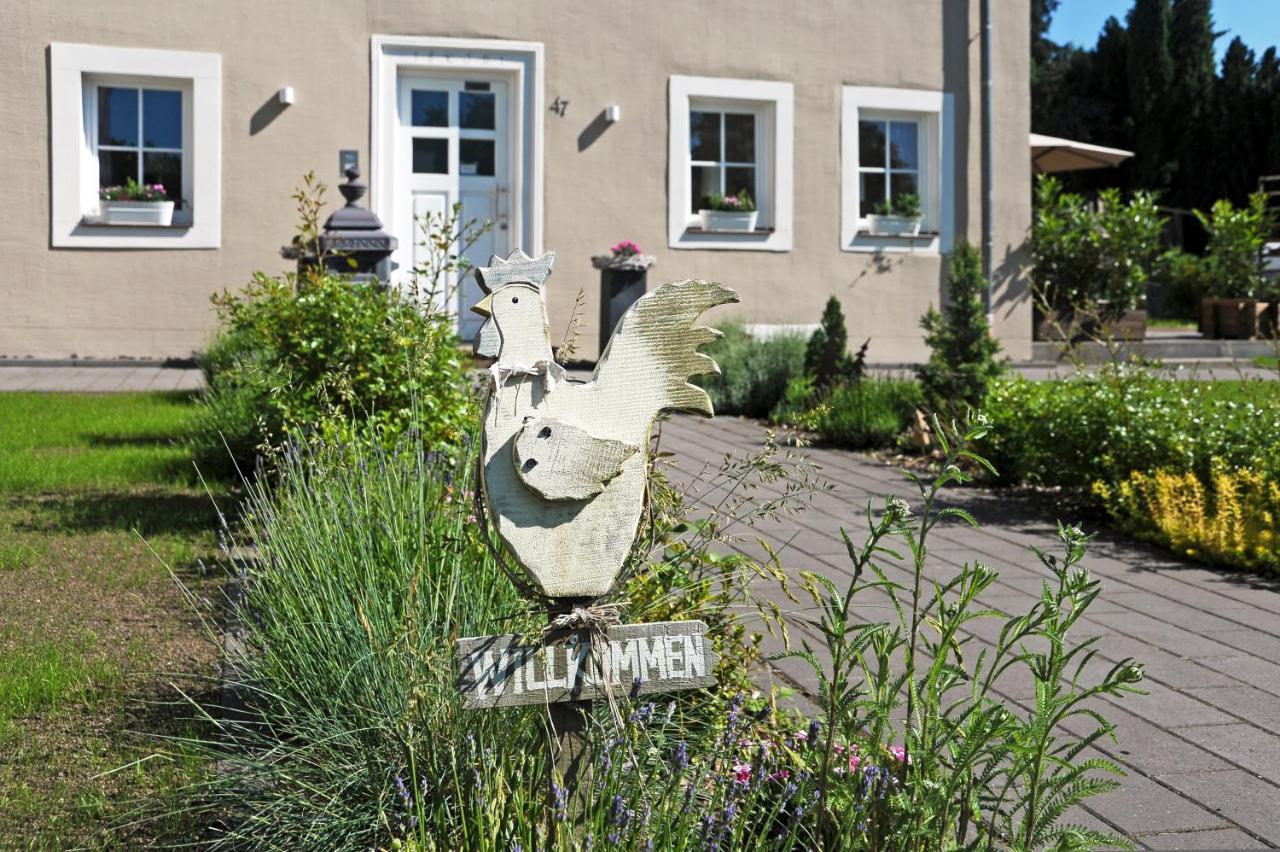 Ferienhaus Eifel 1851 Gipperath エクステリア 写真
